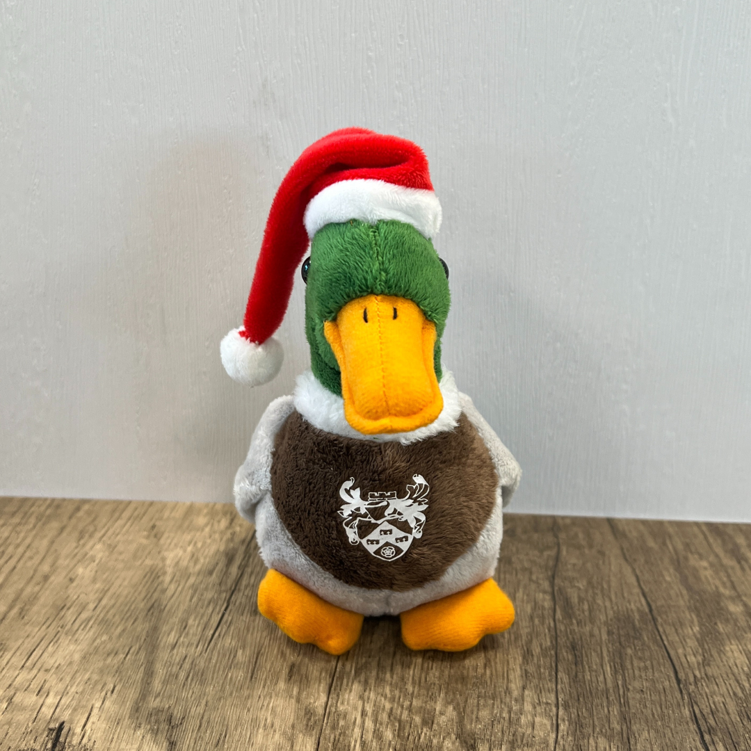Christmas Duck