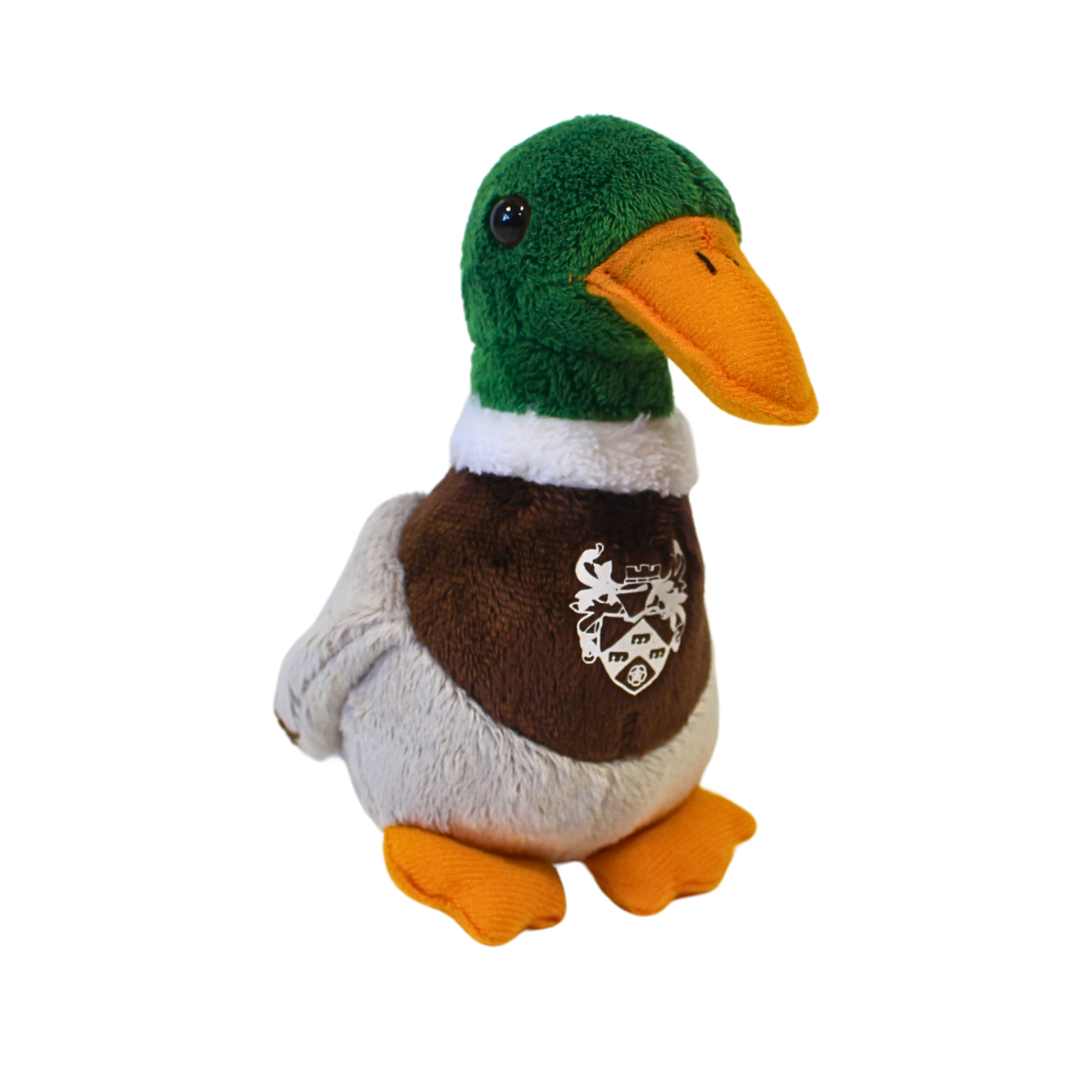 Duck Teddy