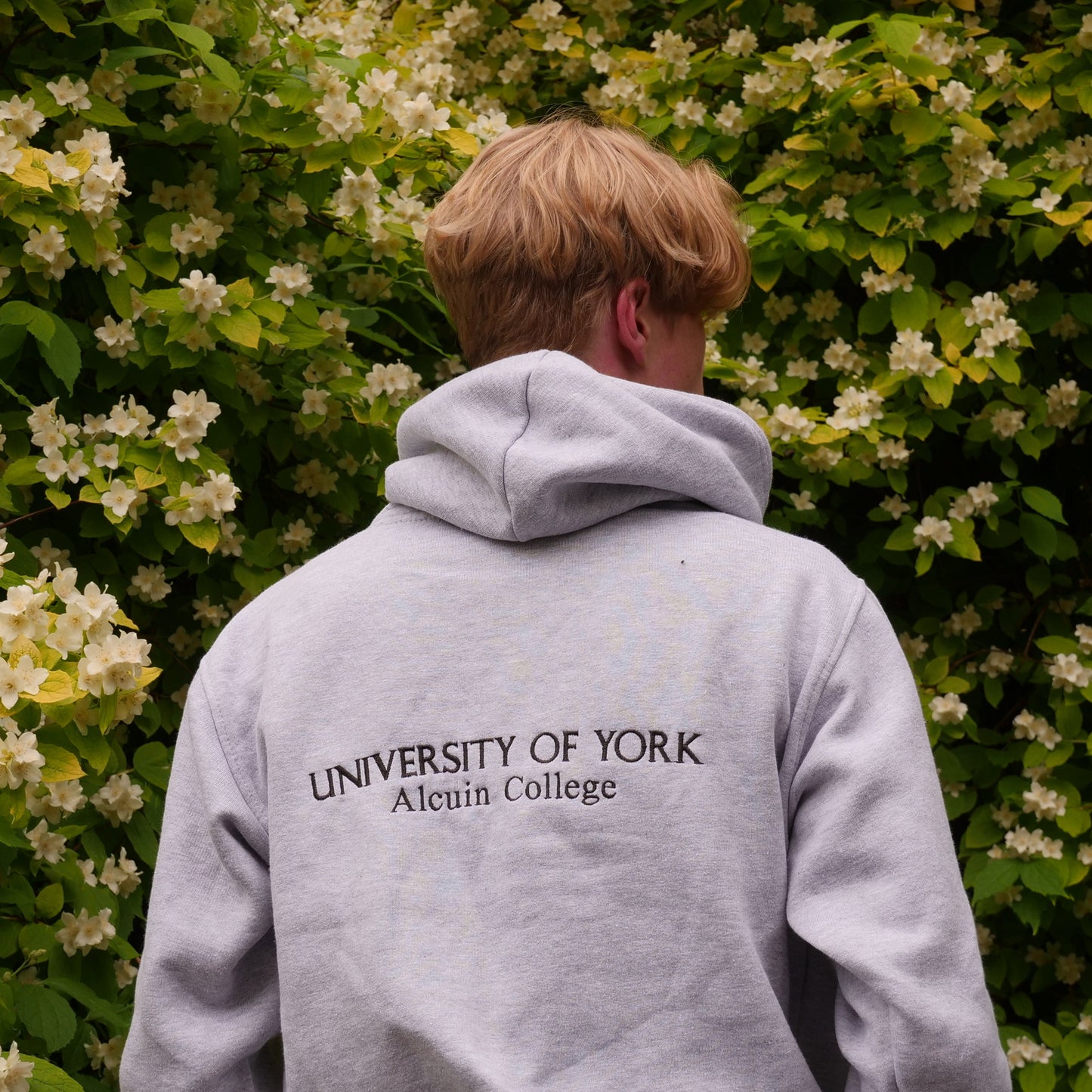 Person wearing a gray hoodie with 'University of York' text, standing in front of a floral bush.