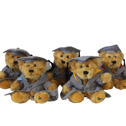 Graduation Bear