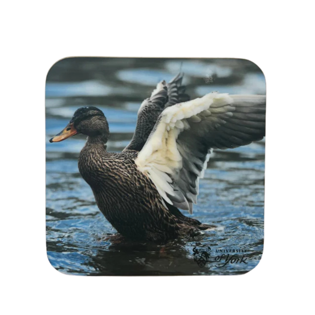 Photo Coasters