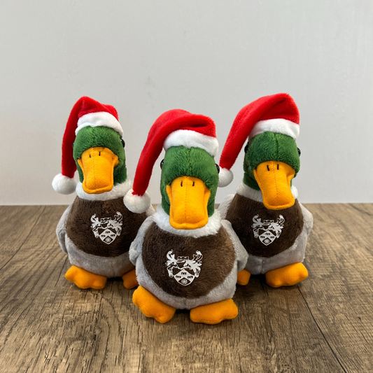 Christmas Duck