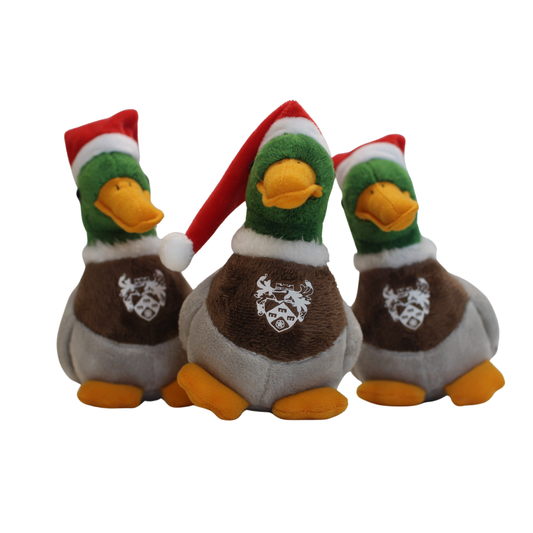 Christmas Duck