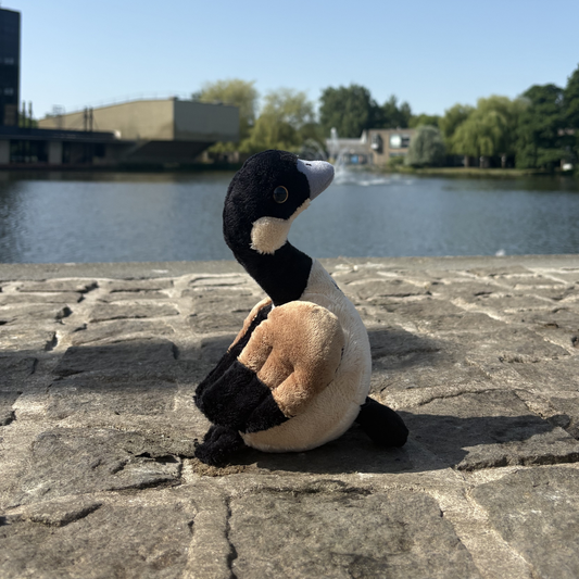 Goose Teddy