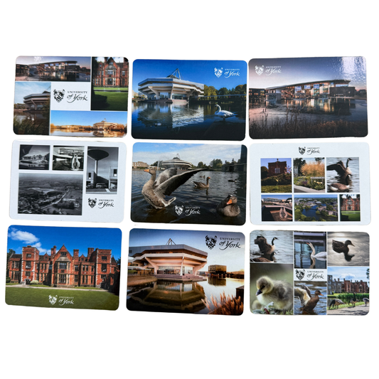 Photo Magnet